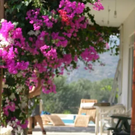 Villa Frangipani With Large Private Pool, Rhodes Lardos