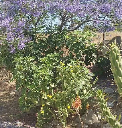 Frangipani With Large Private Pool, Rhodes Villa