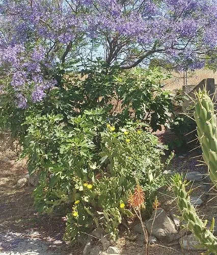Frangipani With Large Private Pool, Rhodes Villa